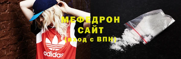 индика Бородино