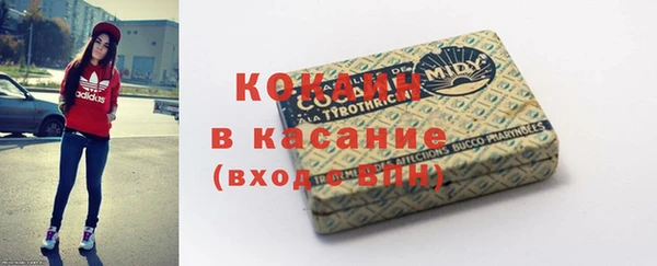 индика Бородино