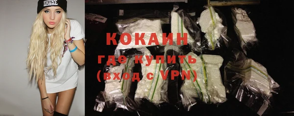 индика Бородино