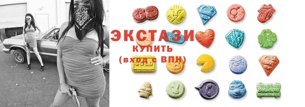 индика Бородино