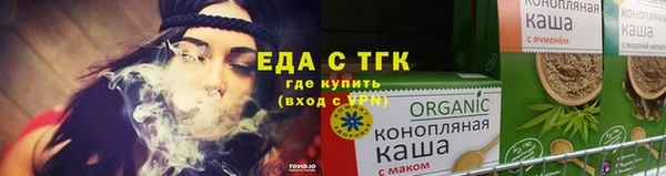 индика Бородино