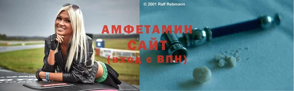 индика Бородино