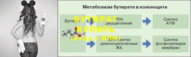 индика Бородино