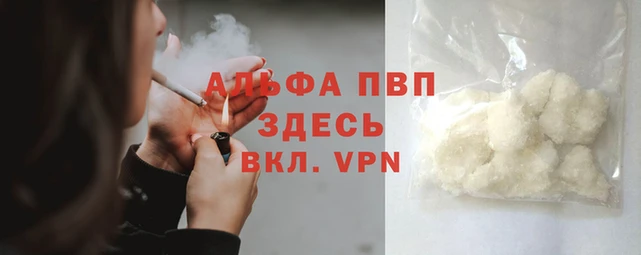 индика Бородино