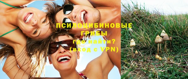 ECSTASY Бронницы