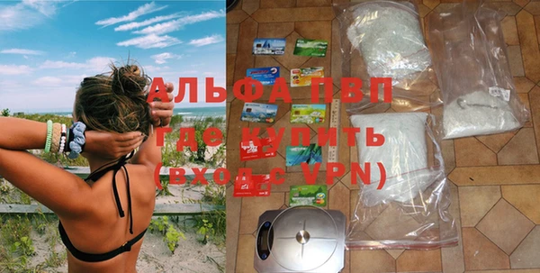 ГАЛЛЮЦИНОГЕННЫЕ ГРИБЫ Семёнов