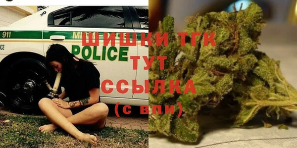 индика Бородино