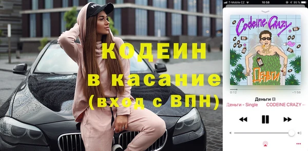 индика Бородино