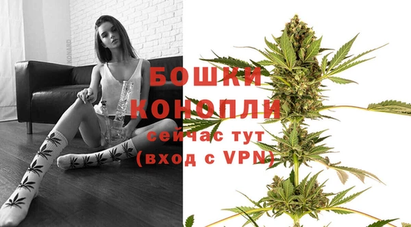 индика Бородино