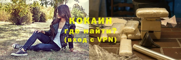 индика Бородино