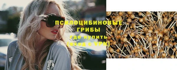 индика Бородино