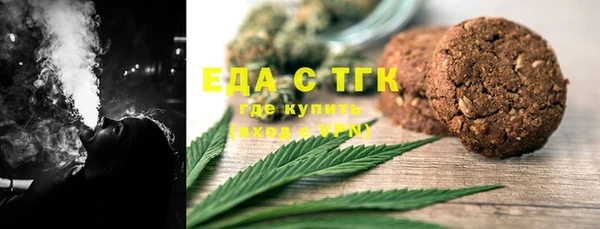 индика Бородино