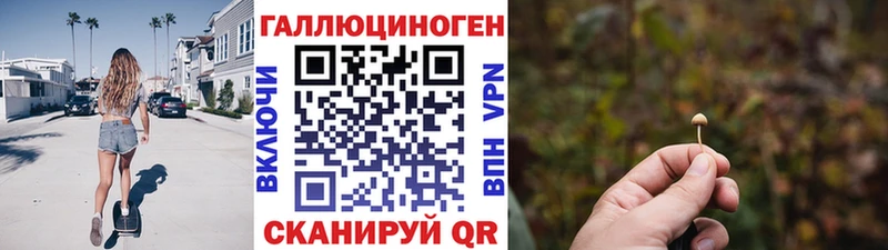 Галлюциногенные грибы Psilocybine cubensis блэк спрут ссылка Мурманск