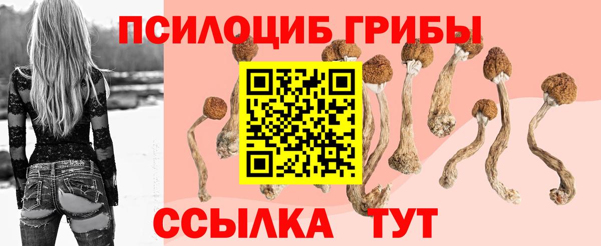 Псилоцибиновые грибы Psilocybine cubensis  Галлюциногенные грибы MAGIC MUSHROOMS  где продают наркотики  Вход с VPN  Мурманск 