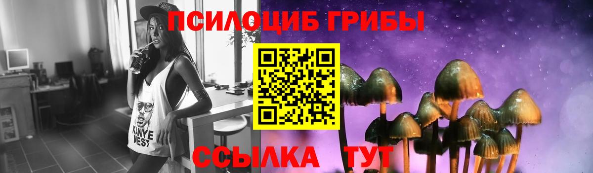 Псилоцибиновые грибы Magic Shrooms Мурманск